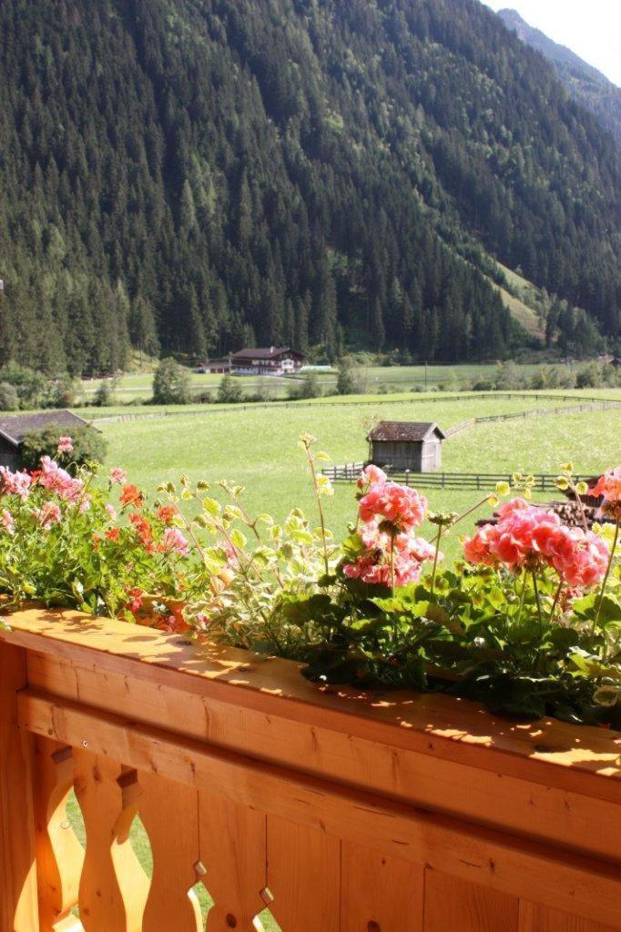 Landhaus Alpensonne Neustift im Stubaital Exteriör bild