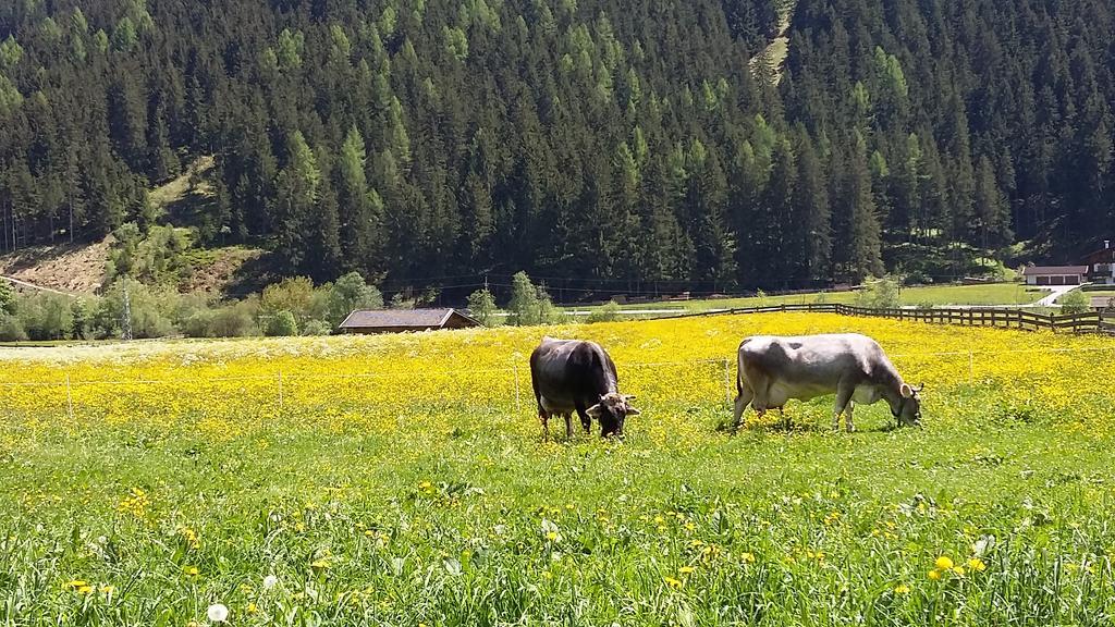 Landhaus Alpensonne Neustift im Stubaital Exteriör bild