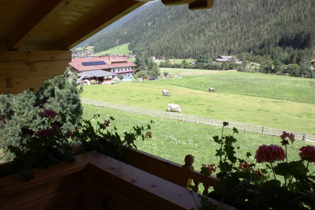 Landhaus Alpensonne Neustift im Stubaital Exteriör bild