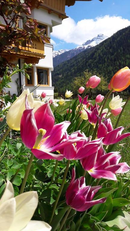 Landhaus Alpensonne Neustift im Stubaital Exteriör bild
